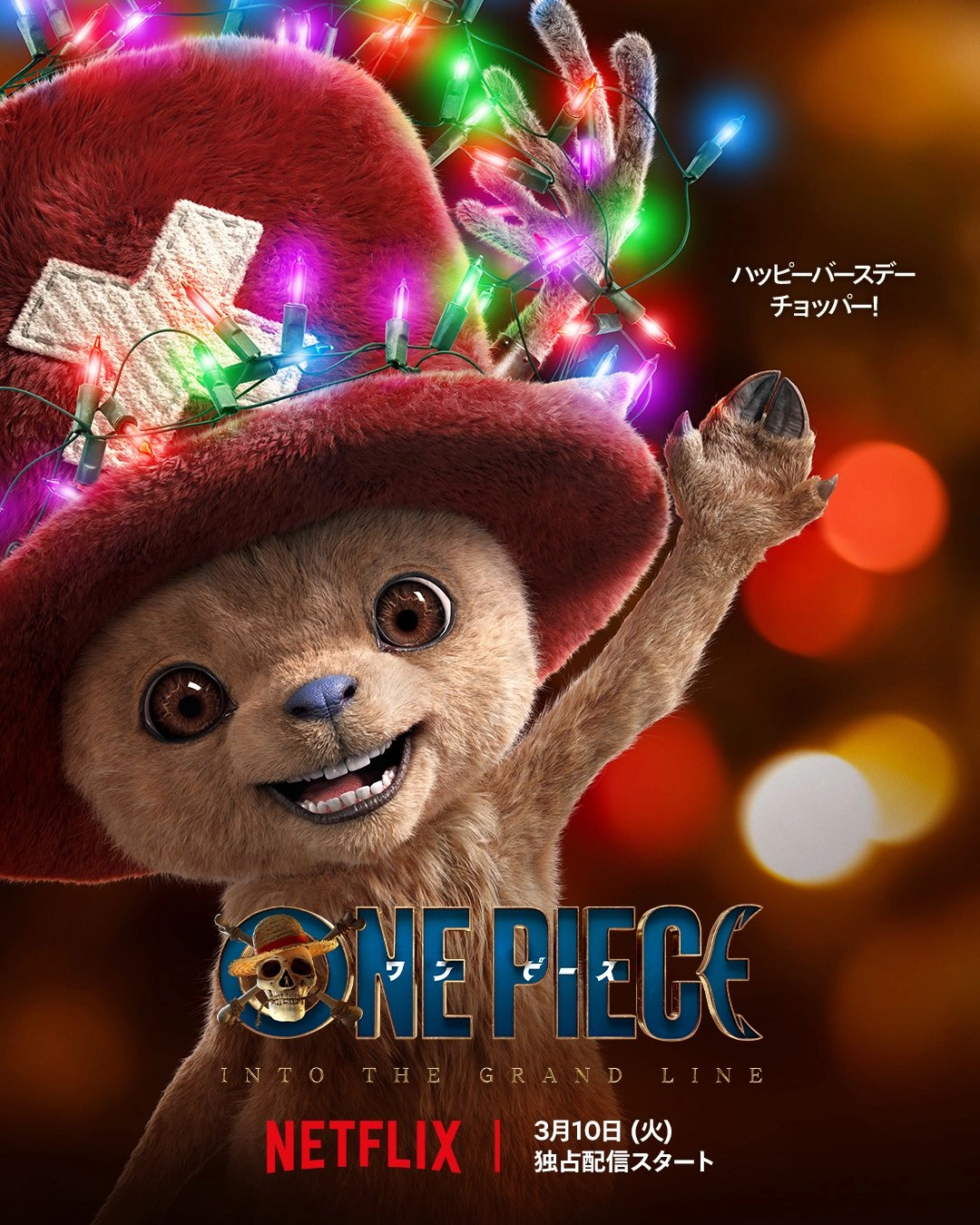 Arte Comemorativa de One Piece